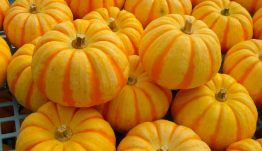 冷凍かぼちゃを解凍したら臭いしまずい…美味しく食べるコツは？