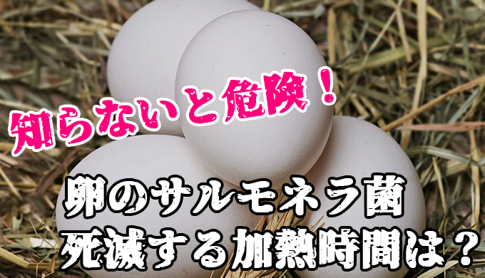 【危険】卵のサルモネラ菌を死滅させる加熱時間は？殻に付いた菌にも要注意！